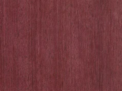 Амарант (Purpleheart), дерево амарант, древесина амарант