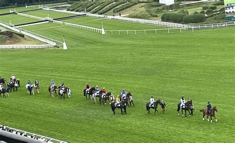 grand steeple chase de paris horse racing news  tips