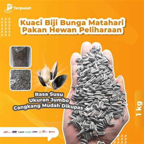 Jual Per 1 Kg Kuaci Kwaci Makanan Hamster Pakan Burung Lovebird Kakatua