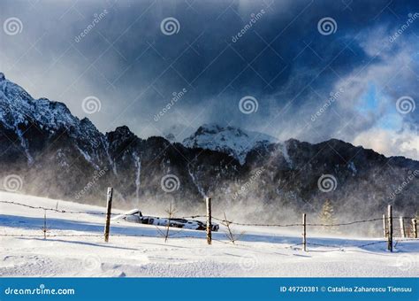 Snow Storm in Carpathian Mountains Stock Image - Image of mist, snow ...