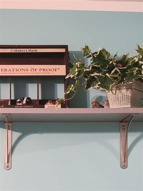 346 best r/finches images on Pholder | Well, I guess that I can share