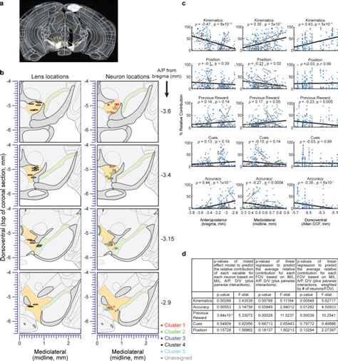 Specialized Coding Of Sensory Motor And Cognitive Variables In Vta