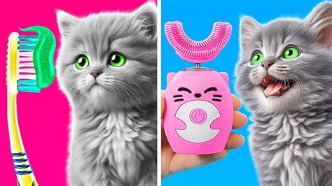 How to Take Care of Your Pet 😼 *Gadgets and Hacks for Pet Owners* - YouTube