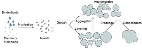 Schematic Presentation Of The Wet Granulation Process Download