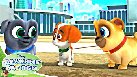 Дружные мопсы - Сезон 2 серия 14 | Мультфильмы Disney - YouTube