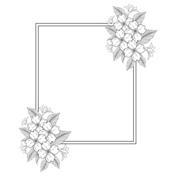 Border Aesthetic Flower Decoration, Border Drawing, Flower Drawing, Border Sketch PNG and Vector ...