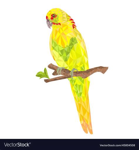 Parrot in yellow bird indian ringneck Royalty Free Vector