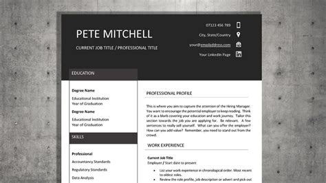 Professional Resume Template, CV Template Professional, Executive ...