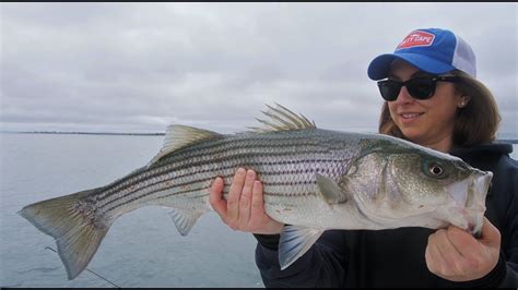 Early Season Striper Fishing At The West End Of The Cape Cod Canal