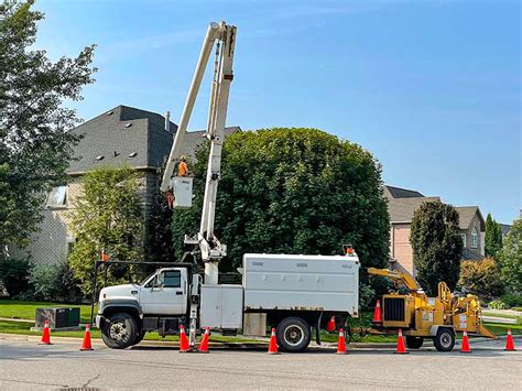 Boom Truck Rental Toronto Sarginsons Tree Services Tree Removal