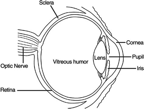 eye diagram - More photos