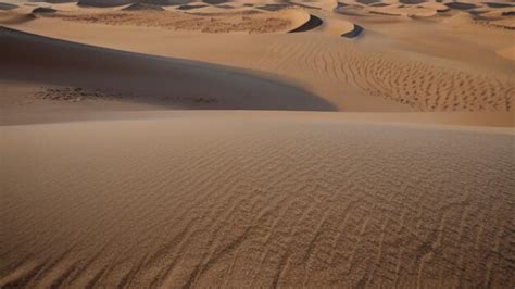 Premium Photo | Sand dunes in the desert