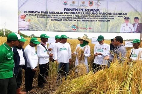 RIAUPAGI Petani Program Lumbung Pangan Baznas Di Desa Anjir Pasar