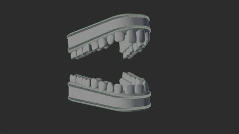 Human Teeth 3d Model Cgtrader