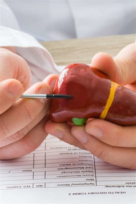 Elevated Liver Enzymes Causes Symptoms Tests And Treatment