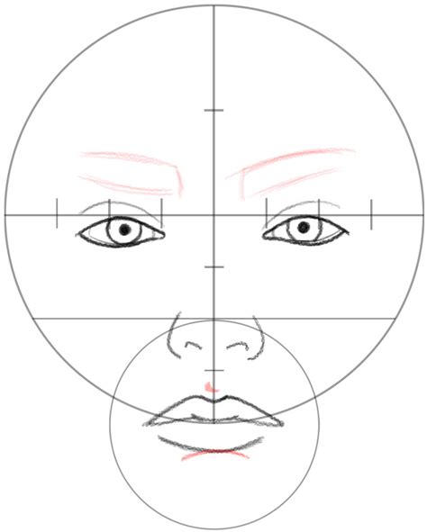 How To Draw A Face In Basic Proportions Drawing Beautiful Female Face