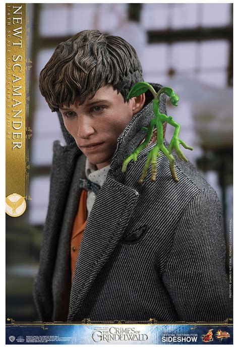 FANTASTIC BEASTS 2 Newt Scamander 1 6 Action Figure 12 MMS512 Fantastic Beasts Hot Toys