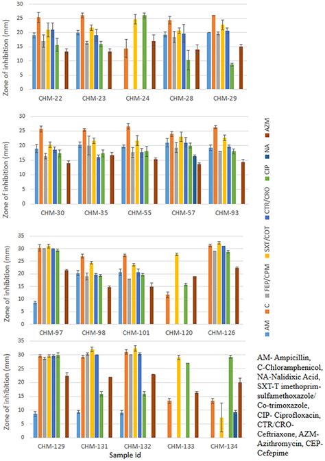 Antibiotic Resistant Profiling Of Isolated Salmonella Typhi Antibiotic