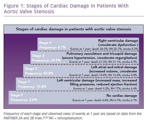 Stages Of Cardiac Damage In Patients With Aortic Valve Stenosis