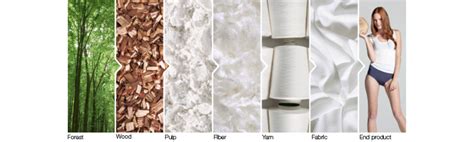 What is Tencel Fabric? Discover Its Eco-Friendly Benefits