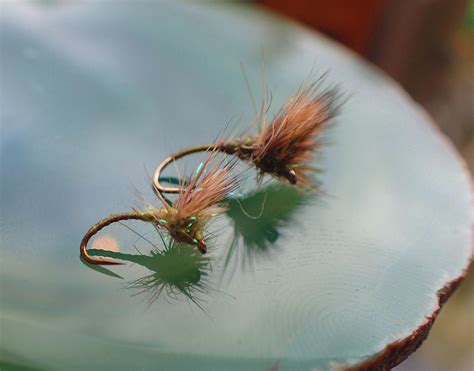 Deer Hair Emerger Variations Fly Fishing And Fly Tying Magazine