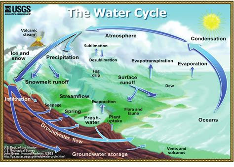 -Water cycle... | Download Scientific Diagram