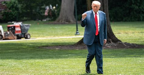 donald trump wearing  catheter    bulge show  ufc fight