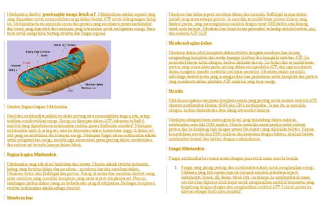 Gambar Sel Tumbuhan Lengkap: Fungsi Mitokondria Pada Sel Tumbuhan Adalah