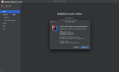 Java Intellij Idea Mac V