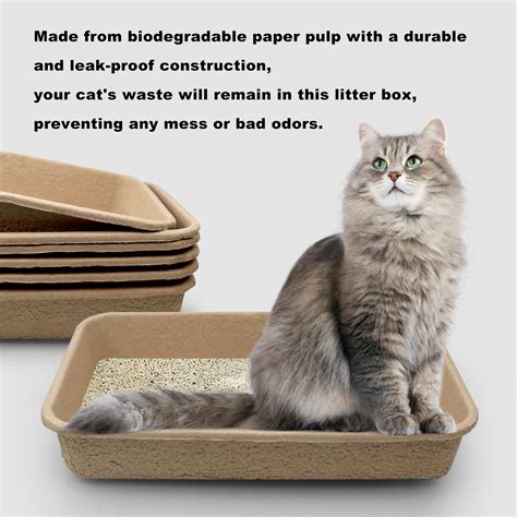 Ryanstar Racing 6 Pcs Disposable Cat Litter Box Kitten Litter Box Disposable Cat Litter Box ...