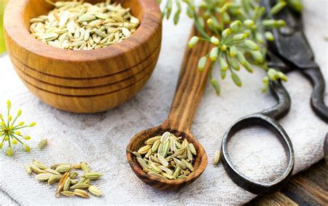 How To Cook Fennel Seeds In Curry At Elizabeth Howard Blog