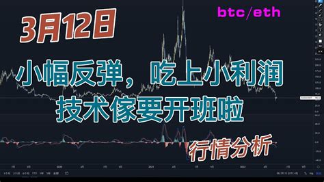 2023年3月12号比特币以太坊行情分析 Youtube