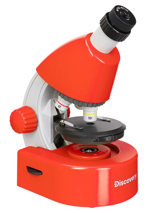Купить Микроскоп Levenhuk Discovery Micro Terra с книгой за 3 490 руб ...