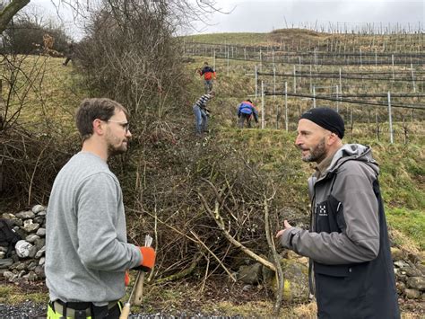 Motiviert Am Wildstr Ucher Schnittkurs Verein Pro Riet Rheintal