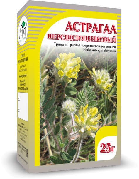 Компания ХОРСТ - АСТРАГАЛ шерстистоцветковый