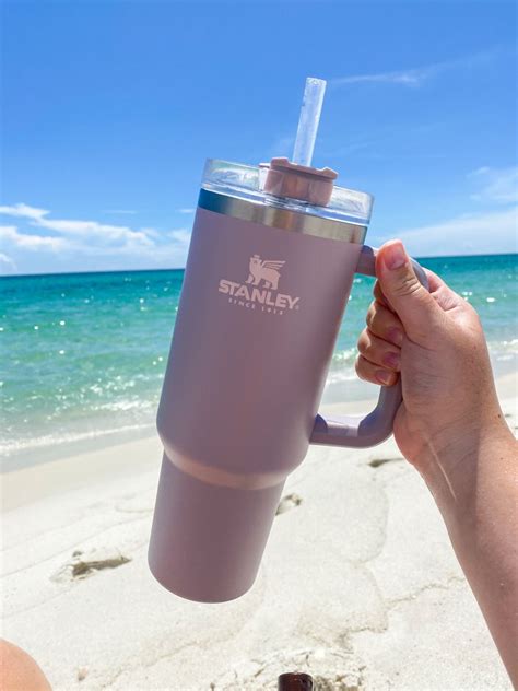 Join Stanley On His First Beach Day Adventure