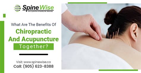 What Are The Benefits Of Chiropractic And Acupuncture Together Spinewise Chiropractor