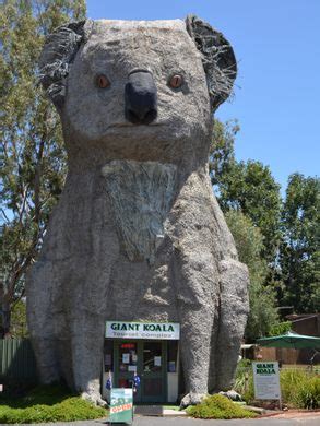 The Giant Koala – Dadswells Bridge, Australia - Atlas Obscura