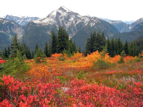 Fall Colors In Washington State North Cascades National Park Fall