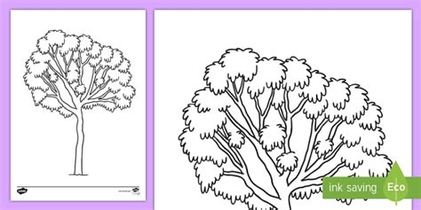 Ghaf Tree Colouring Page (teacher made) - Twinkl