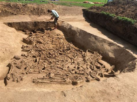 News Headless Skeletons Uncovered At Neolithic Site In Slovakia Archaeology Magazine