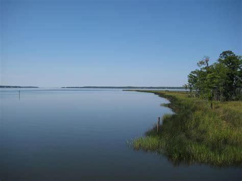 Weeks Bay National Estuarine Research Reserve - Fairhope