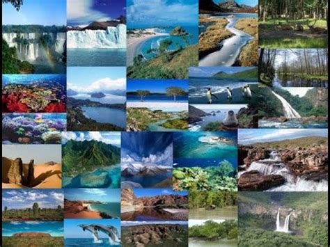 15 PARQUES NACIONALES DEL PERÚ 2020 CUTERVO MANU TINGO MARÍA