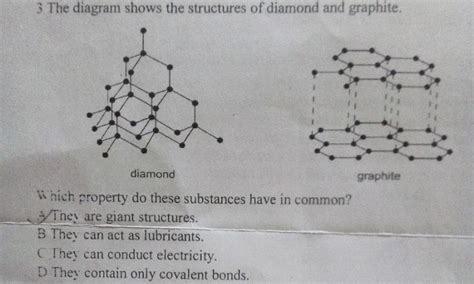 Number 3 With Reason Please The Diagram Shows The Structures Of