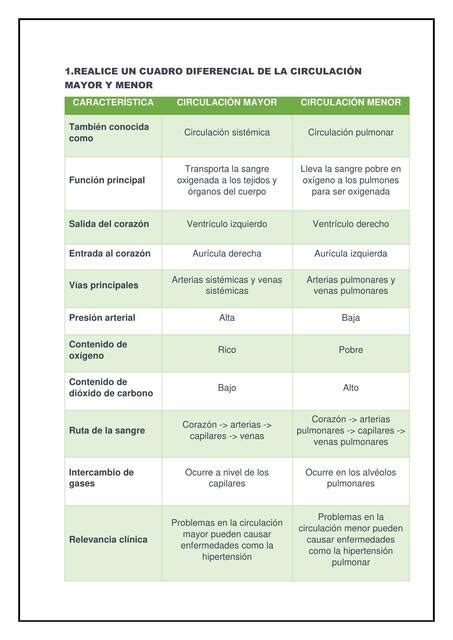 Circulación Mayor y Menor Liz Duran uDocz