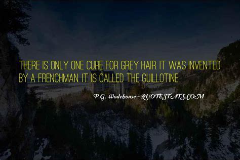 20+ Quotes About Grey Hair - VinceMaddison