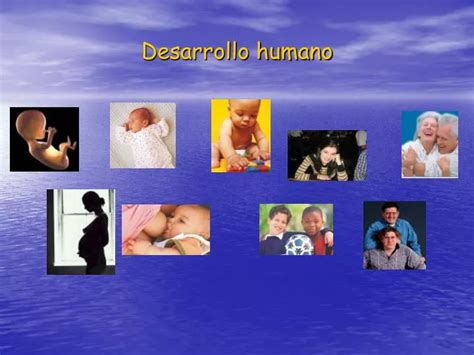 Ppt Desarrollo Humano Powerpoint Presentation Free Download Id877266