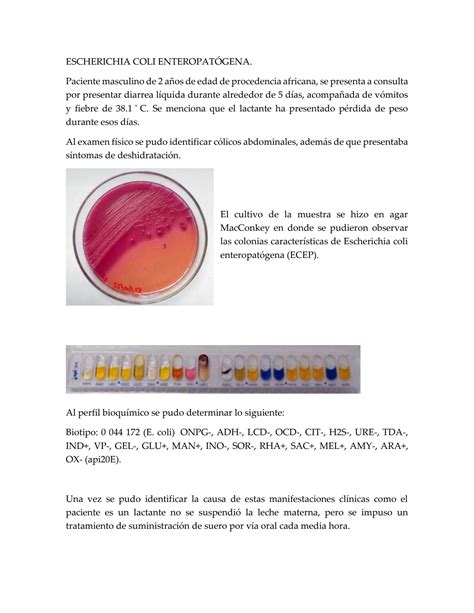 Solution Casos Cl Nicos De Microbiolog A Bacteriana Digestiva Studypool