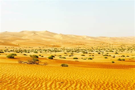 Liwa oasis, Abu Dhabi