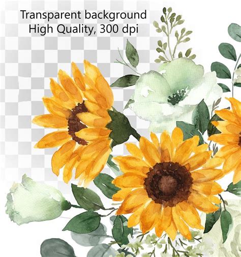 Sunflower Clipart Watercolor Sunflower Yellow Flowers Floral Art